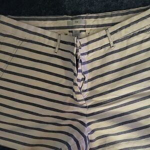 Striped Shorts in Navy and White